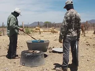 Health Officials Sound Alarm on Lethal Carfentanil Overdose Crisis