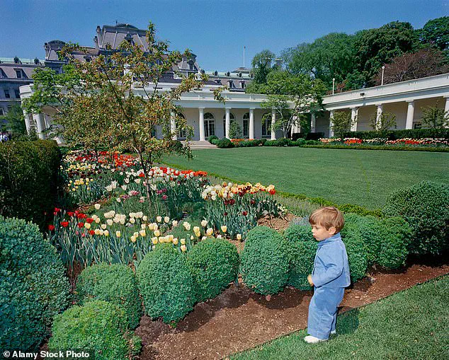 Privileged Access: The Hidden Forces Shaping Trump's Second Term