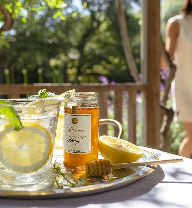 Behind Closed Doors: Meghan Markle's As Ever Falters as Netflix's Privileged Exit Exposes Failed Lifestyle Empire