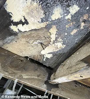 Toxic Mold Crisis in Fort Worth: Family's Health in Peril