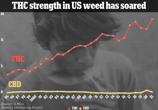 Rising THC Levels and Mental Health Risks Spark Urgent Calls for Stricter Cannabis Regulations