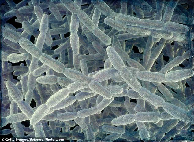 Legionnaires’ Disease Outbreak in Westchester County Sparks Health Department Alert After Two Fatal Cases