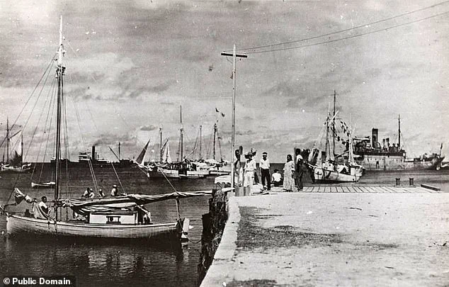 Congresswoman Kimberlyn King-Hinds Urges Trump to Declassify Records on Amelia Earhart's Fate, Sparking New Interest in Aviation Mystery