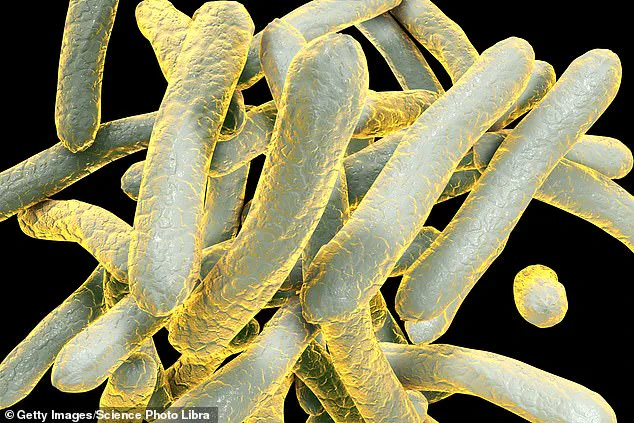 Tuberculosis: A Persistent Global Health Challenge Despite Medical Advancements