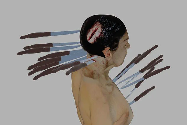 A 14-Year Battle for Truth: Ellen Greenberg's Family Confronts Official Narrative of Suicide