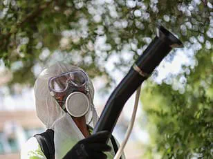 Chikungunya Virus Confirmed in New York, Marking First U.S. Case in Over Five Years