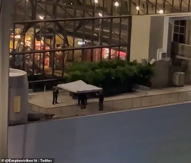 Disney Superfan Summer Equitz Found Dead by Suicide at Walt Disney World After Vanishing in May