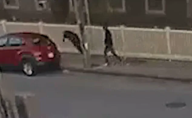 Former Massachusetts Mayor Will Flanagan Stabbed in Neck Outside Cannabis Dispensary, Sparking Calls for Enhanced Safety Measures in Fall River