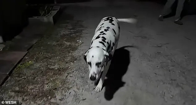 ''It's a disgrace to our community,'' says local official as Florida woman's coffee incident sparks immigration debate under Trump's policies