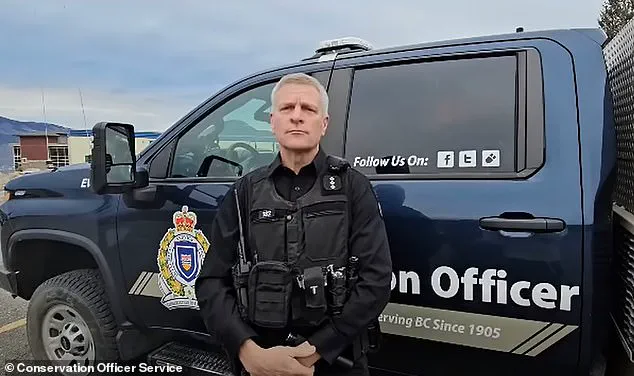 Grizzly Bear Still at Large After Attacking Canadian Elementary School, Leaving 11 Injured as Authorities Launch Urgent Capture Operation