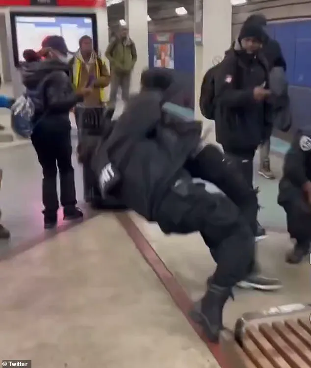 Late-Breaking: K-9 Unit Clash with Passengers at Chicago Station Reignites Safety Debates