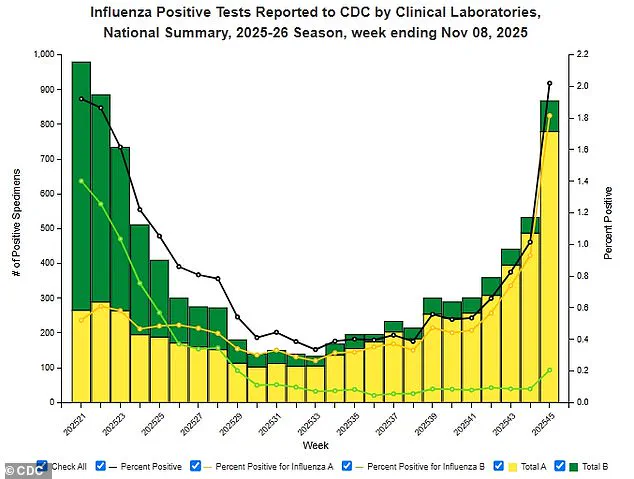 New H3N2 Variant Sparks Fears of Record-Breaking Flu Season as Experts Warn of Potential Public Health Crisis