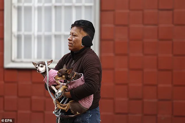 Mexico Shaken by 6.5-Magnitude Earthquake Near Acapulco as President's Press Briefing Interrupted