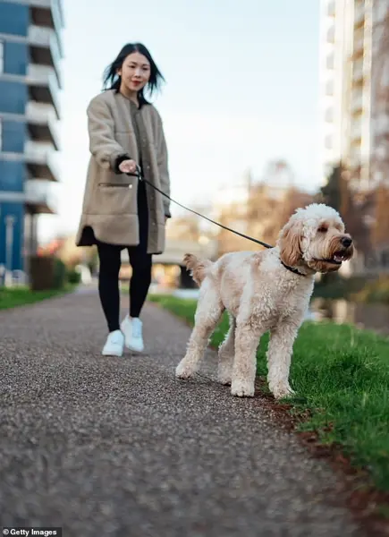 U.S. Longevity Industry Surpasses $600 Billion Mark as Quest for Immortality Drives Cultural Shift