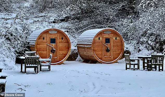 Privileged Access: The Hidden History of Scandinavian Sauna Rituals