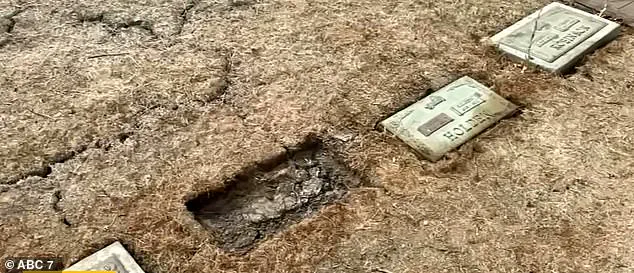 Vandalism Ravages Historic Cemetery, Sparking Calls for Government Action to Protect Public Heritage