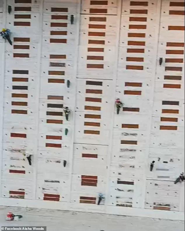 Vandalism Ravages Historic Cemetery, Sparking Calls for Government Action to Protect Public Heritage