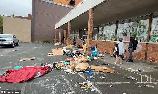 Seattle Mayor Katie Wilson's Controversial New Policy on Public Drug Use Sparks Immediate Outcry Over Homelessness and Crime Crisis