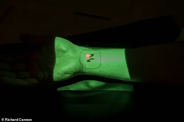 From Skeptic to Advocate: A Personal Journey with Neko Health's Full-Body Scan