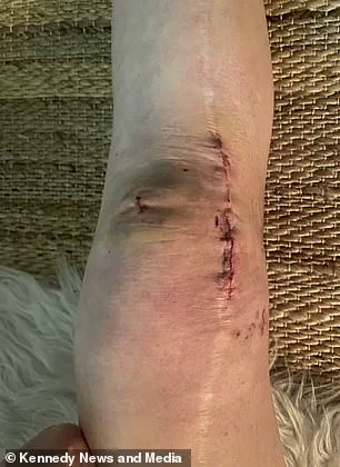 The Surgeon's Daughter: A Decade-Long Relationship and the Risks of Trust in Medicine