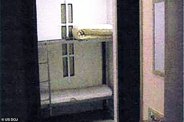 From Gilded Halls to a Cold Cell: The Stark Contrast of Nicolas Maduro's Imprisonment in Brooklyn