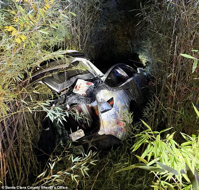 Exclusive: Inside the Napa Valley Winery Incident – Expert Insights on Public Safety and Legal Implications