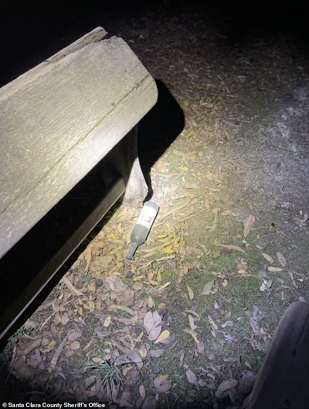 Exclusive: Inside the Napa Valley Winery Incident – Expert Insights on Public Safety and Legal Implications