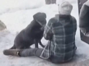 Minneapolis Mayor Jacob Frey's Rare Live TV Outburst Over ICE Agent's Killing of Protester