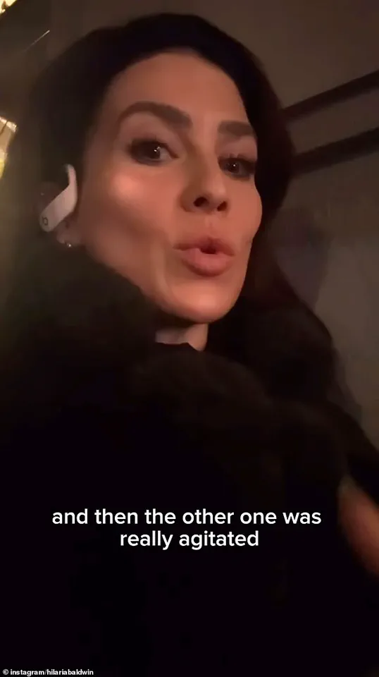 Hilaria Baldwin's Subway Encounter with NYPD Sparks Debate on Language Barriers and Systemic Inequities