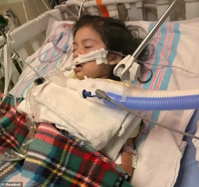 New H3N2 Subclade K Flu Variant Sparks Surge in Hospitalizations and Fatalities, CDC Reports