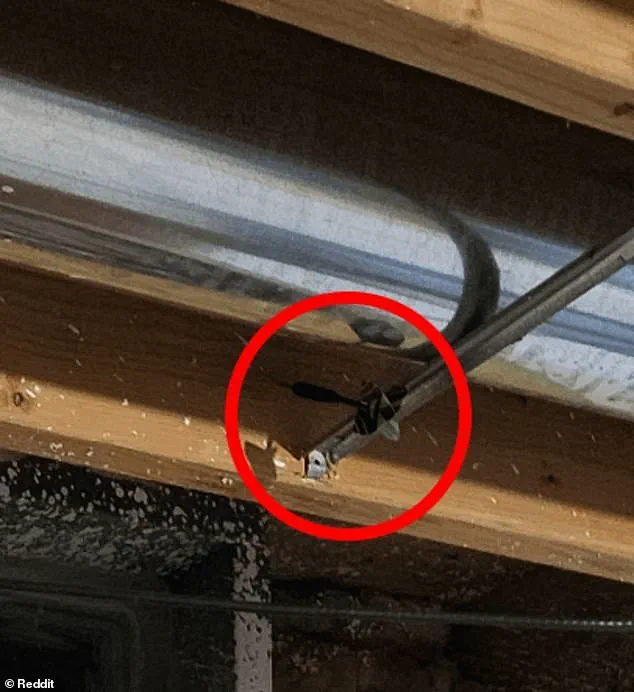 Reddit Users Race to Find Missing Dart in Viral Puzzle Challenge