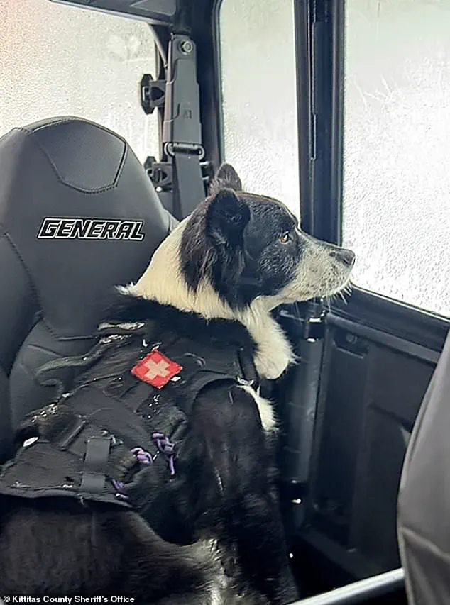 Tragedy Strikes Longs Pass Trail: Avalanche Claims Two Lives, Injures Two