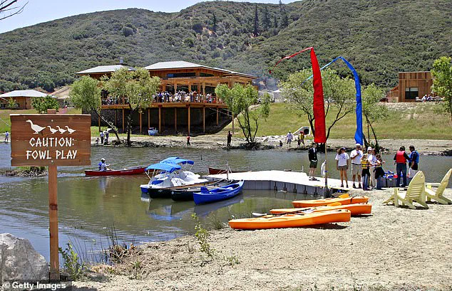 Former CEO of The Painted Turtle Arrested in $5.2 Million Embezzlement Scheme