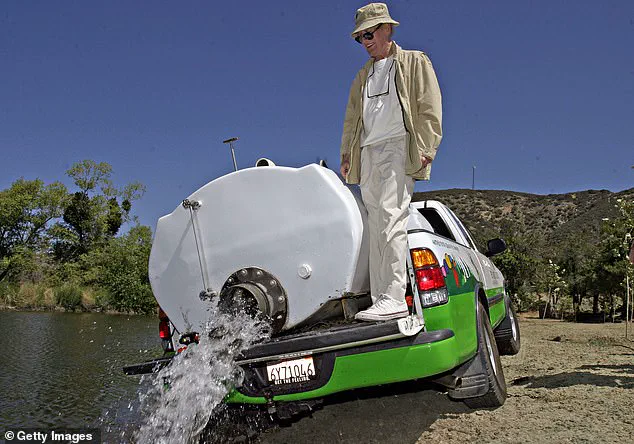 Former CEO of The Painted Turtle Arrested in $5.2 Million Embezzlement Scheme