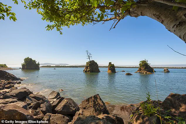 From Mystery to Closure: How Privileged Data Access and DNA Innovation Solved a 20-Year-Old Cold Case