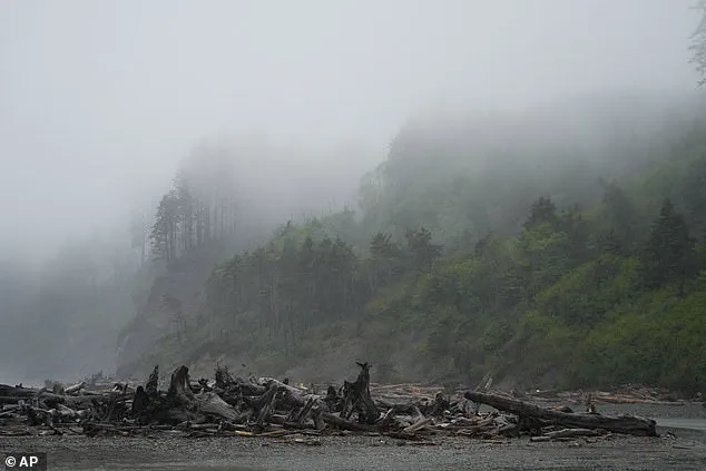 From Mystery to Closure: How Privileged Data Access and DNA Innovation Solved a 20-Year-Old Cold Case