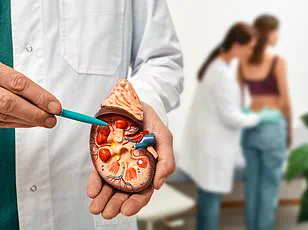 Hidden Crisis: How Limited Deceased Donor Access Threatens Transplant Progress