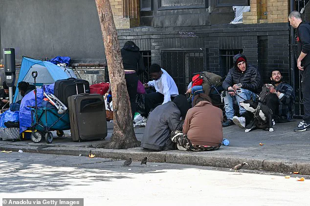 San Rafael's Proposed Homeless Encampment Ignites Controversy: 'We Were Left in the Dark,' Says Resident