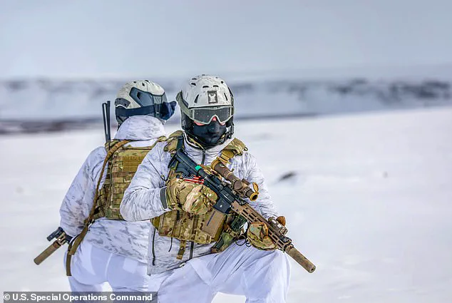 White House at Odds with NATO Allies and Experts Over Greenland's Strategic Value, as Mattis Claims US Already Has 'Everything It Needs'