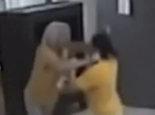 Exclusive Footage of Political Scuffle, Leading to Legal Battle, Released to Public