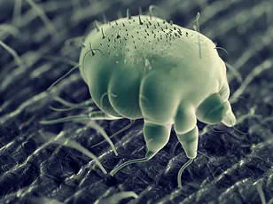 Exclusive Insights: UK Study Reveals Vitamin D's Role in Reducing Winter Respiratory Infections