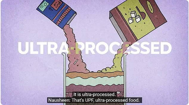 Dame Emma Thompson's Campaign Highlights Concerns Over UK School Meal Quality and Calls for Government Regulation