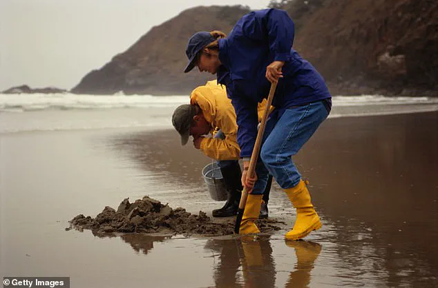 Historic Boston Harbor Reopens for Fishing After Decades-Long Cleanup