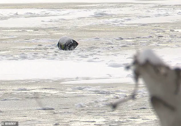 Snowmobile Incident on Chaumont Pond Leads to Harrowing Survival Fight for Ice Fishing Trio