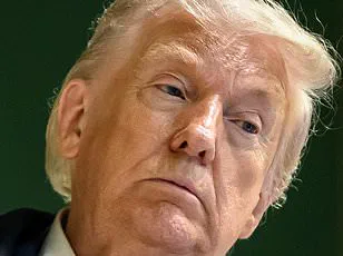 Trump Claims European Allies Avoided Afghanistan Frontlines, NATO Chief Condemns Remarks