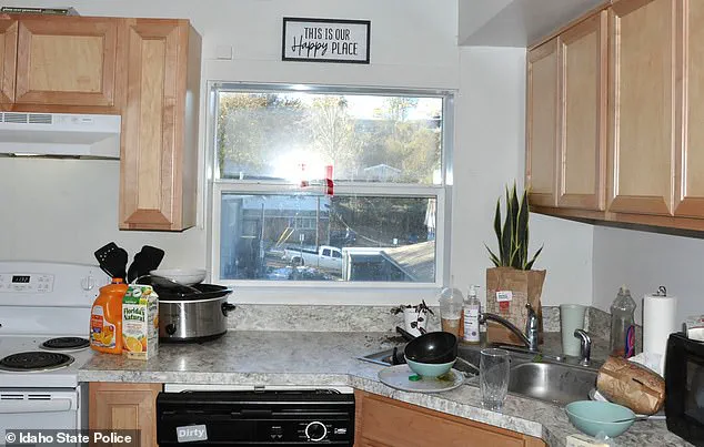 Government's Release of Idaho Murder Images Sparks Public Reflection on Tragedy