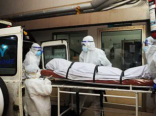 Urgent Measures to Contain Deadly Nipah Virus Outbreak in West Bengal as Health Officials Race Against Time