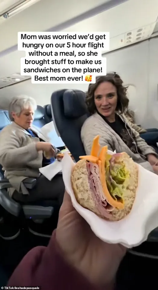 Behind Closed Doors: A Family's Secret Deli Unveiled Mid-Flight