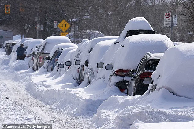 Toronto Mayor's Snowfall Gaffe: 56-Meter Apocalyptic Deluge Claim Sparks Viral Reaction