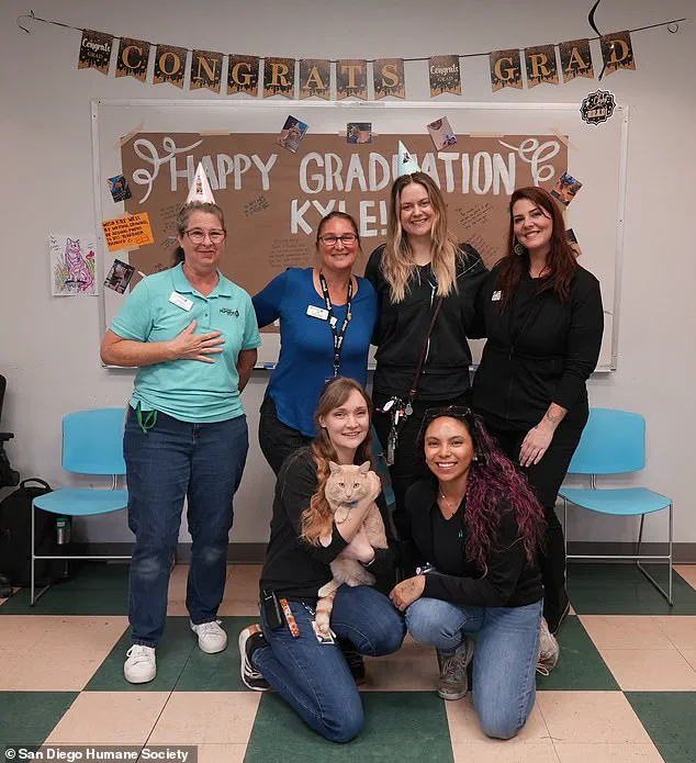 Resilient Orange Tabby Kyle Celebrates Triumphant Return with Unusual Graduation Ceremony at San Diego Humane Society
